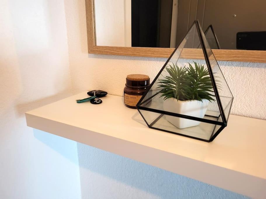 Cosy Duplex - Ma Cabotte Appartement Toulouse